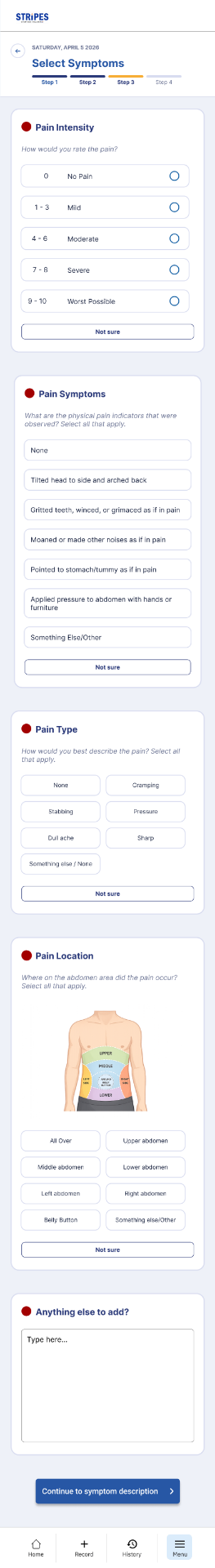 Pain details entry